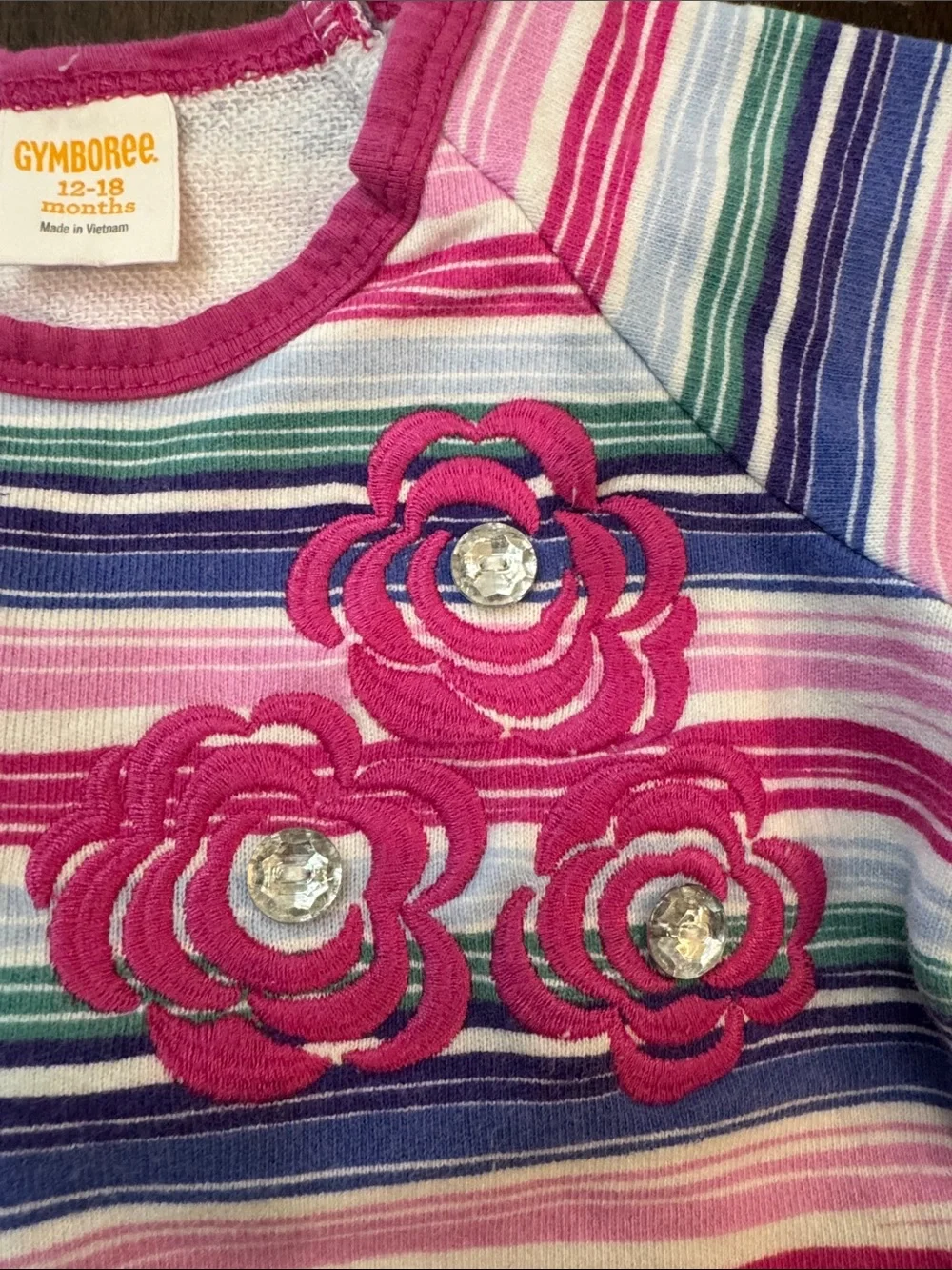 Gymboree Pink, Purple & Blue Striped Girls Set with Floral Appliqués